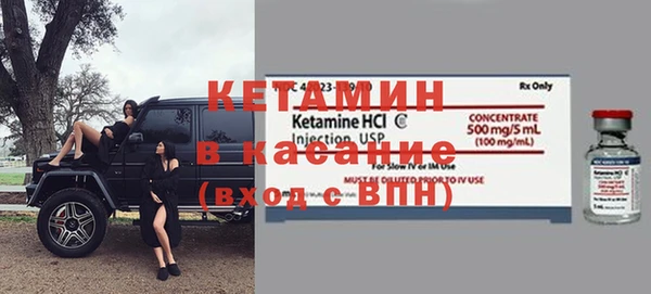 сатива Каменка