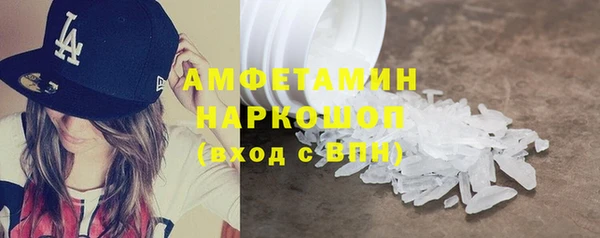 сатива Каменка