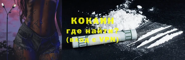 сатива Каменка