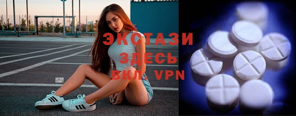 сатива Каменка