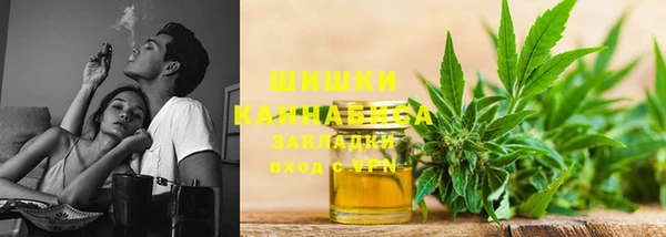 spice Каменногорск