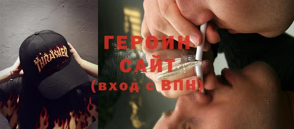 сатива Каменка