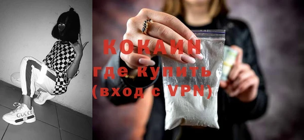 сатива Каменка