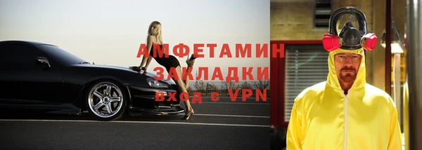 сатива Каменка