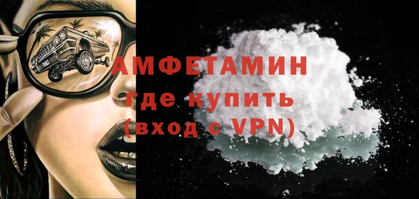 сатива Каменка