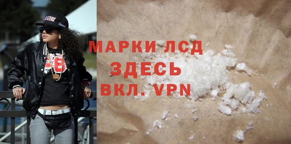 сатива Каменка