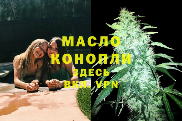 сатива Каменка