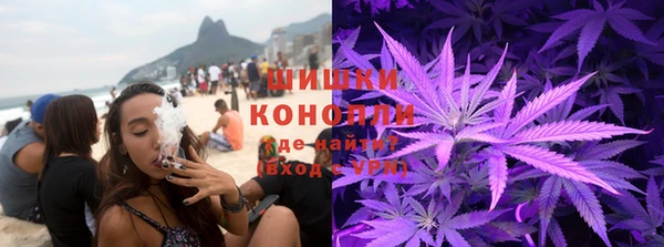 сатива Каменка