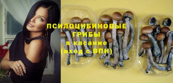 spice Каменногорск