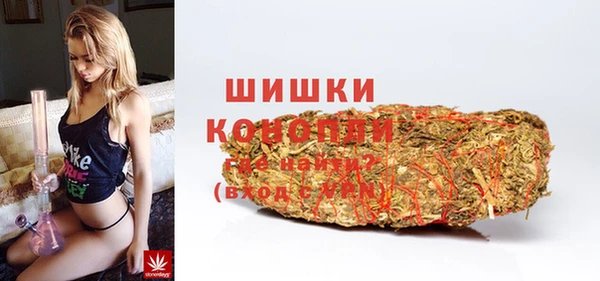 spice Каменногорск