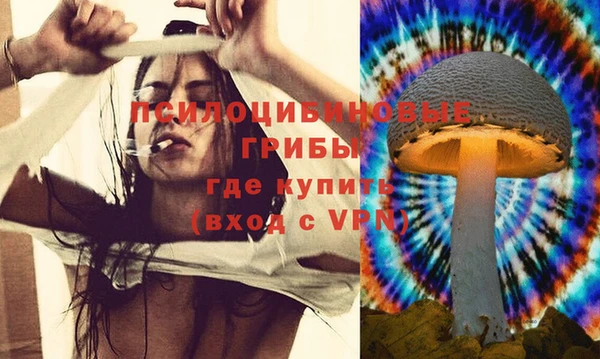сатива Каменка
