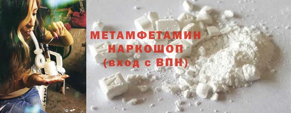сатива Каменка